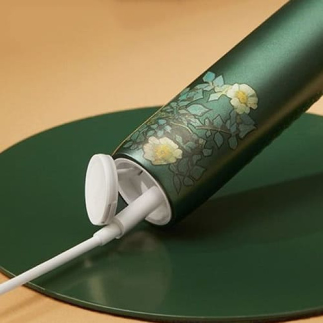 Электрическая зубная щетка Soocas X3U & Van Gogh Museum Design (Зелёный)