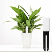 Датчик для растений Smart Flower and Plant Monitor (Белый) - фото