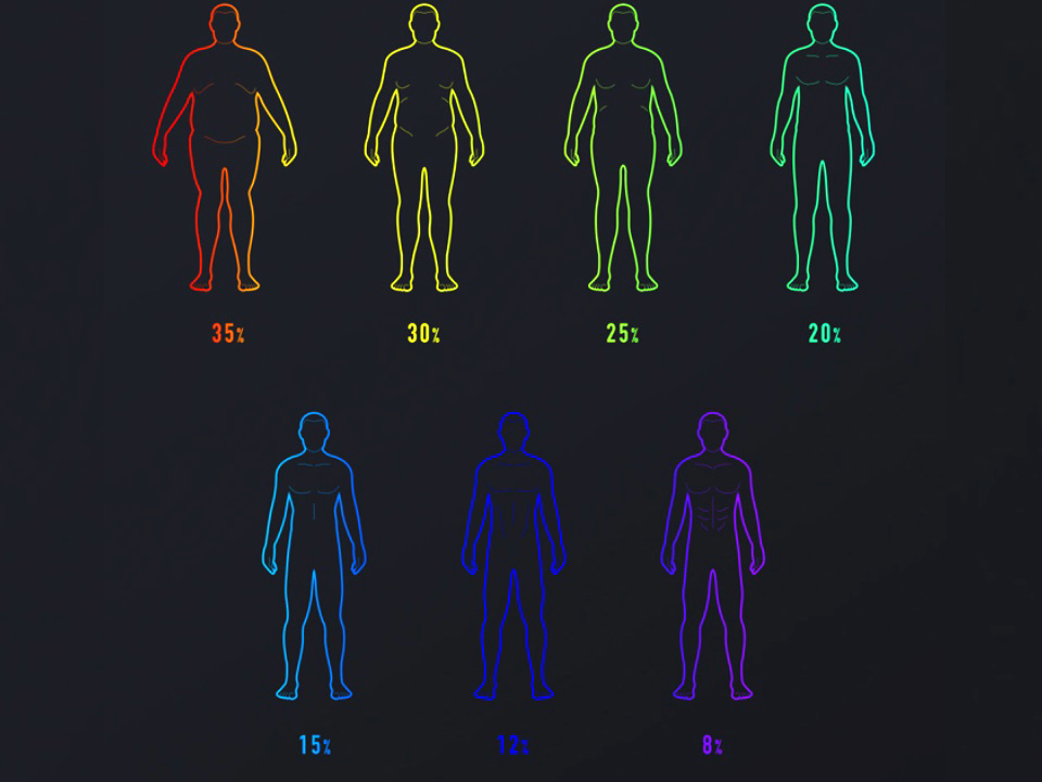 Умные весы Xiaomi Mi Body Composition Scale 2 XMTZC05HM (NUN4049CN) Белый - Рисунок 2