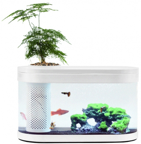Аквариум Xiaomi Eco Fish Tank  - 1