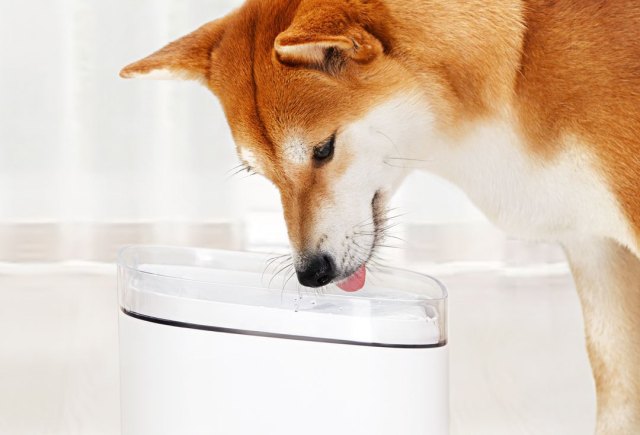 Поилка для животных Xiaomi Kitten&Puppy Pet Water Dispenser (MG-FW001) - Рисунок 5