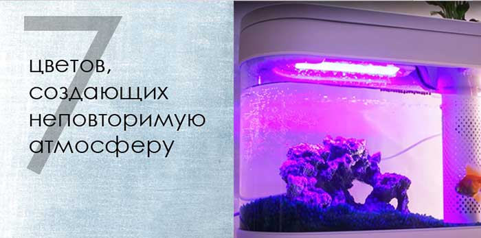 Аквариум Xiaomi Geometry Amphibious Fish Tank (HF-JHYGQC001) Белый - 4