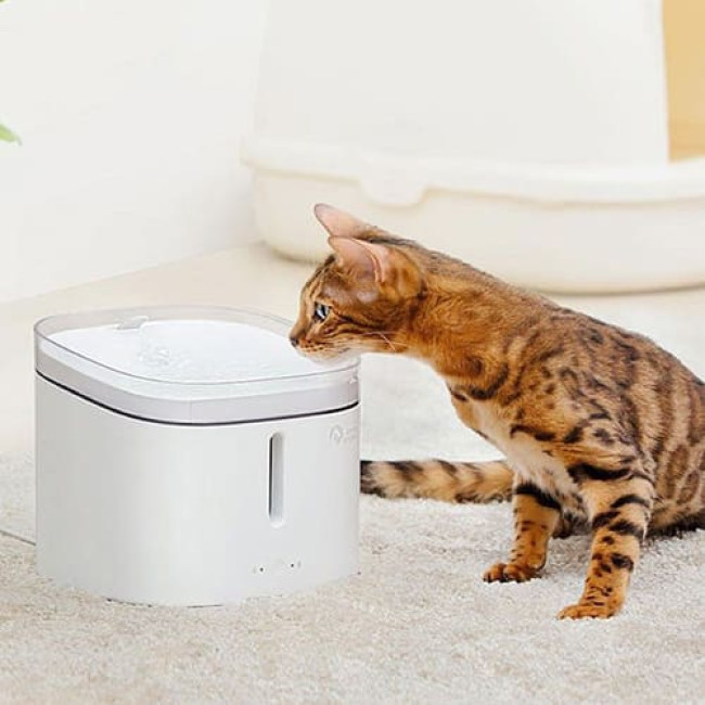Поилка для животных Kitten&Puppy Pet Water Dispenser MG-WF001 (Международная версия)