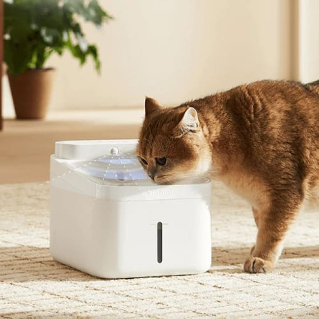 Поилка-фонтан для животных Xiaomi Smart Pet Fountain 2 BHR9485GL (Международная версия) Поилка-фонтан для животных Xiaomi Smart Pet Fountain 2 BHR9485GL (Международная версия)