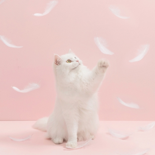 Игрушка-дразнилка с перьями для кошек Furrytail Flamingo Cat Teaser (Розовый) 