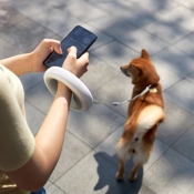 Поводок для собак Xiaomi Moestar UFO - фото