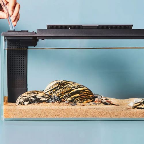 Аквариум PETKIT Origin Intelligent Fish Tank (Версия «Коралловый риф»)