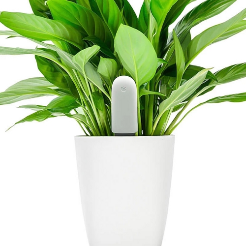Датчик для растений Smart Flower and Plant Monitor (Зеленый)